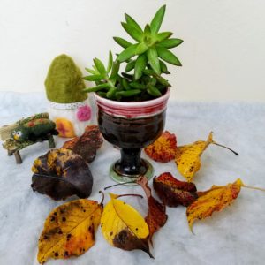 Succulent Planter Goblet